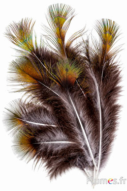 Pavone verde - 15-20 cm - verde-nero-naturale